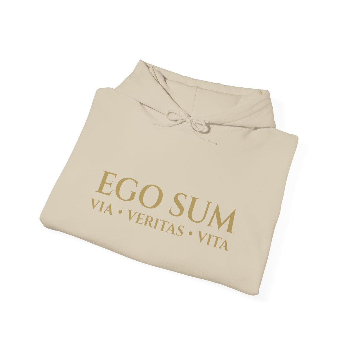 Ego Sum Hoodie | Via, Veritas, Vita