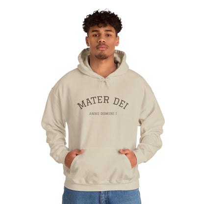 Mater Dei Hoodie | Mary and the Christ Child