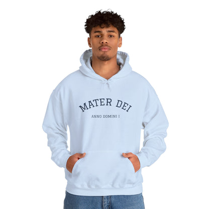 Mater Dei Hoodie | Mary and the Christ Child